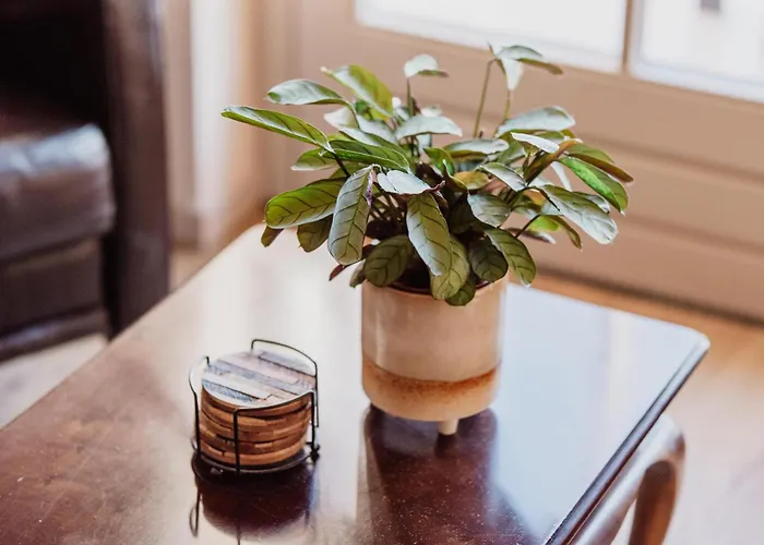 Hoeve Den Bolck Appartamento *