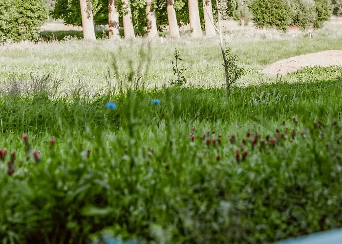 Hoeve Den Bolck Sint-Oedenrode